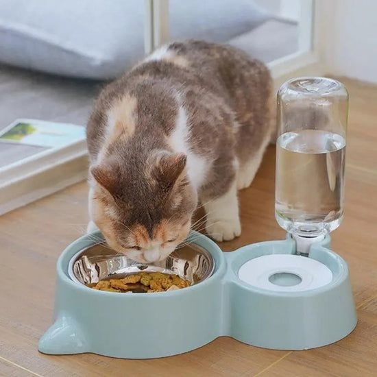 Automatic Gravity Pet Water & Food Fountain Bowl