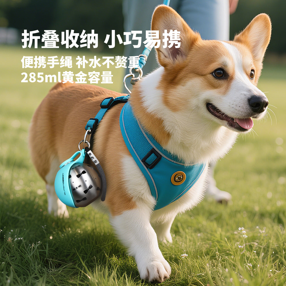 Portable Silicone Foldable Pet Water Bottle