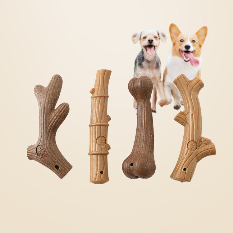 Dog Accessories